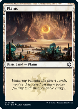 Plains (265) [Dungeons & Dragons: Adventures in the Forgotten Realms] | Eastridge Sports Cards & Games