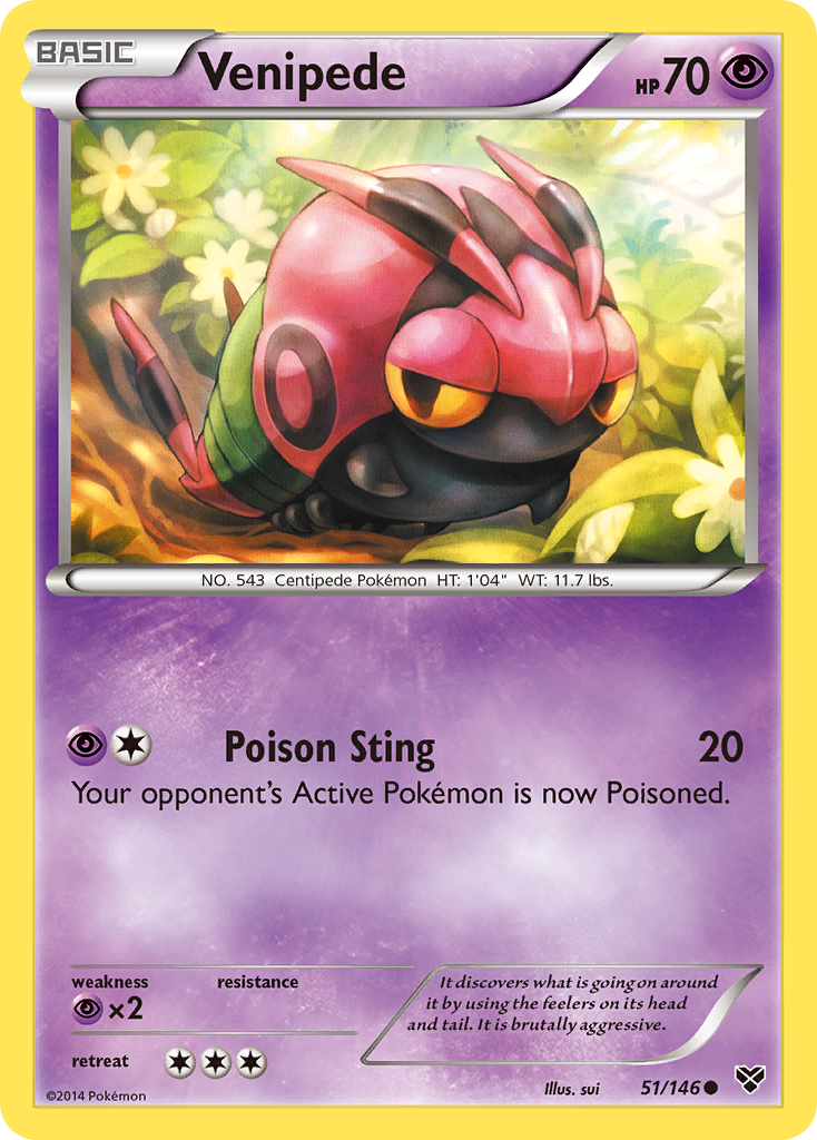 Venipede (51/146) [XY: Base Set] | Eastridge Sports Cards & Games