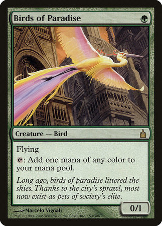 Birds of Paradise [Ravnica: City of Guilds] | Eastridge Sports Cards & Games