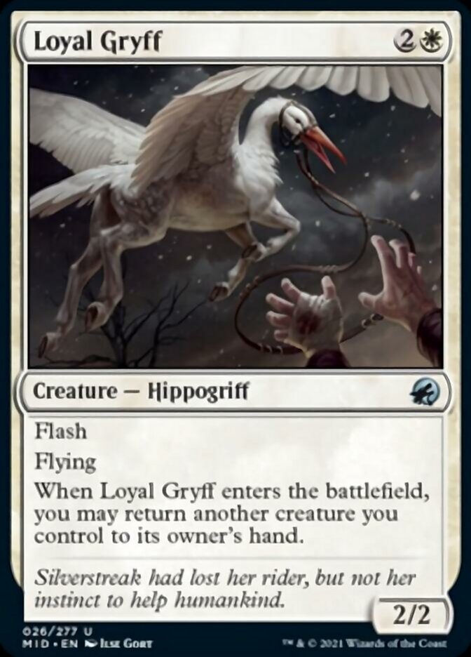 Loyal Gryff [Innistrad: Midnight Hunt] | Eastridge Sports Cards & Games