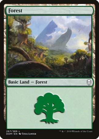 Forest (267) [Dominaria] | Eastridge Sports Cards & Games