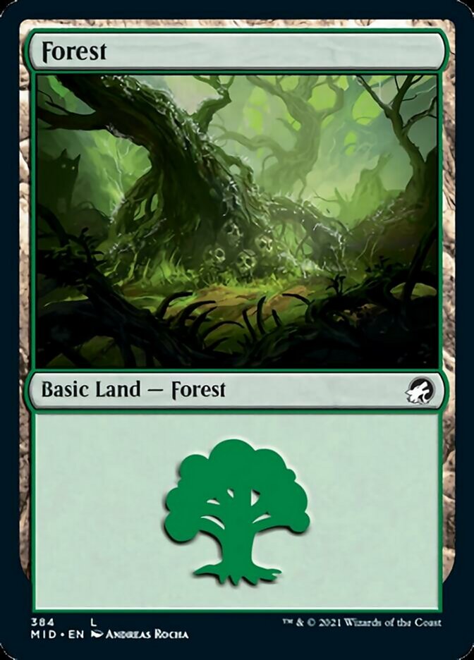 Forest (384) [Innistrad: Midnight Hunt] | Eastridge Sports Cards & Games