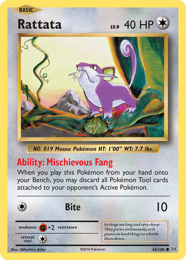 Rattata (66/108) [XY: Evolutions] | Eastridge Sports Cards & Games