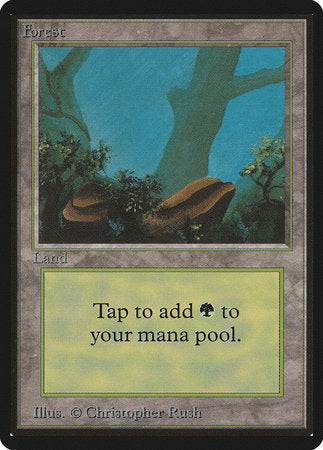 Forest (A) [Limited Edition Beta] | Eastridge Sports Cards & Games