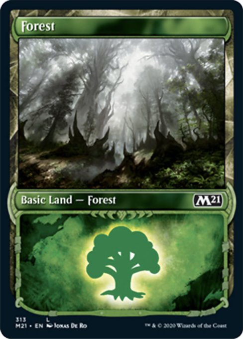 Forest (Showcase) [Core Set 2021] | Eastridge Sports Cards & Games