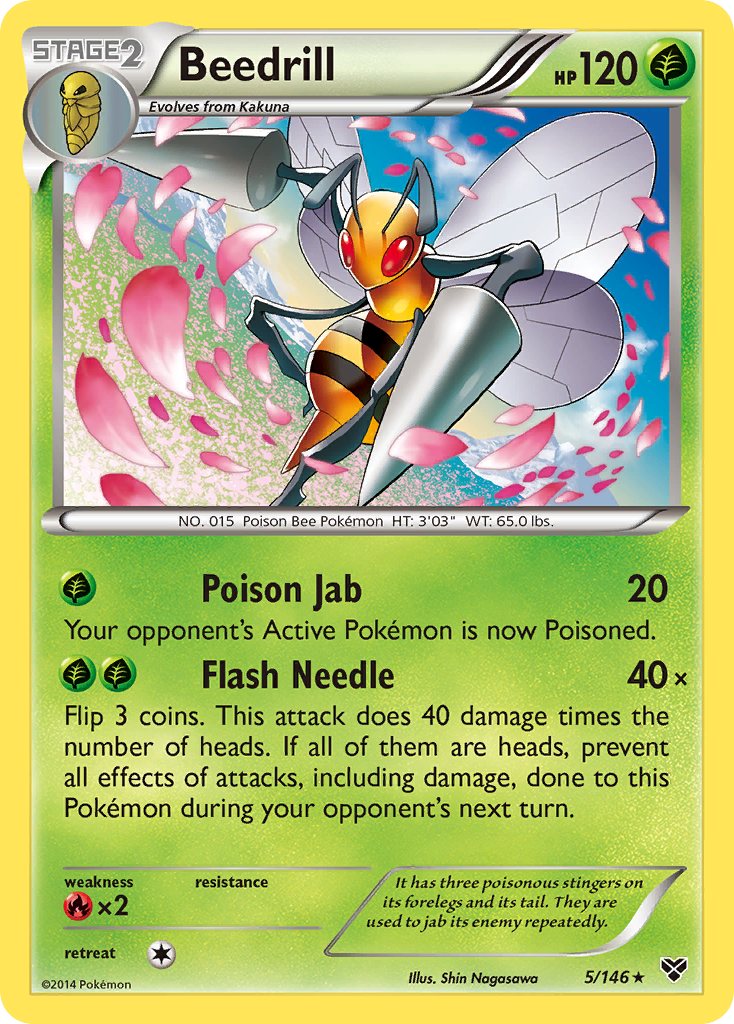 Beedrill (5/146) [XY: Base Set] | Eastridge Sports Cards & Games