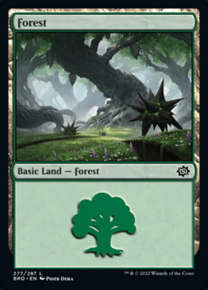 Forest (277) [The Brothers' War] | Eastridge Sports Cards & Games