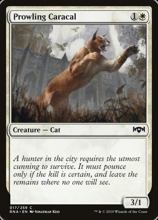 Prowling Caracal [Ravnica Allegiance] | Eastridge Sports Cards & Games