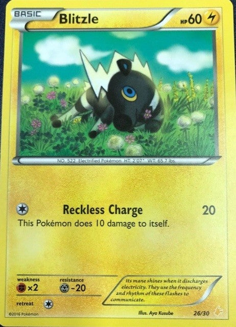 Blitzle (26/30) [XY: Trainer Kit 3 - Pikachu Libre] | Eastridge Sports Cards & Games