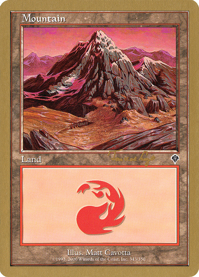 Mountain (tvdl343) (Tom van de Logt) [World Championship Decks 2001] | Eastridge Sports Cards & Games