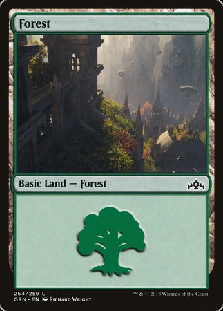 Forest [Guilds of Ravnica] | Eastridge Sports Cards & Games