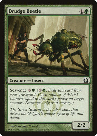 Drudge Beetle [Return to Ravnica] | Eastridge Sports Cards & Games