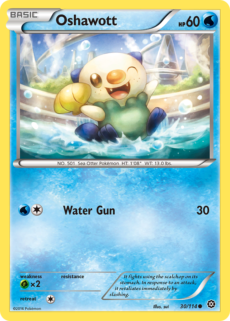 Oshawott (30/114) [XY: Steam Siege] | Eastridge Sports Cards & Games